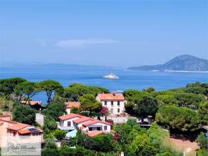 Vendita vendita, Portoferraio