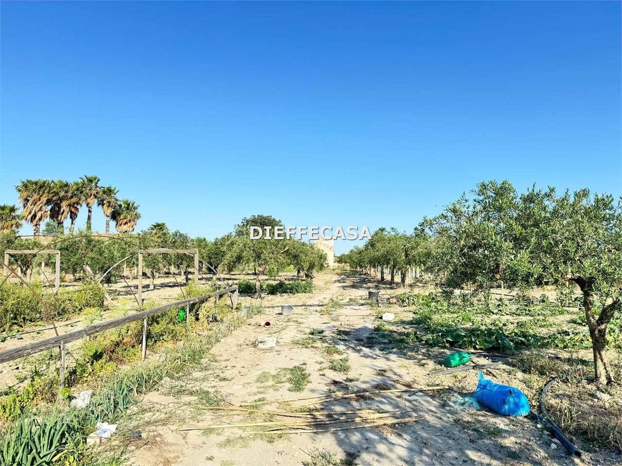 Vendita vendita, Marsala Vendita vendita, Marsala foto