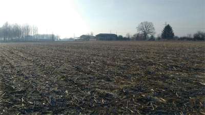 Vendita vendita, Cuggiono