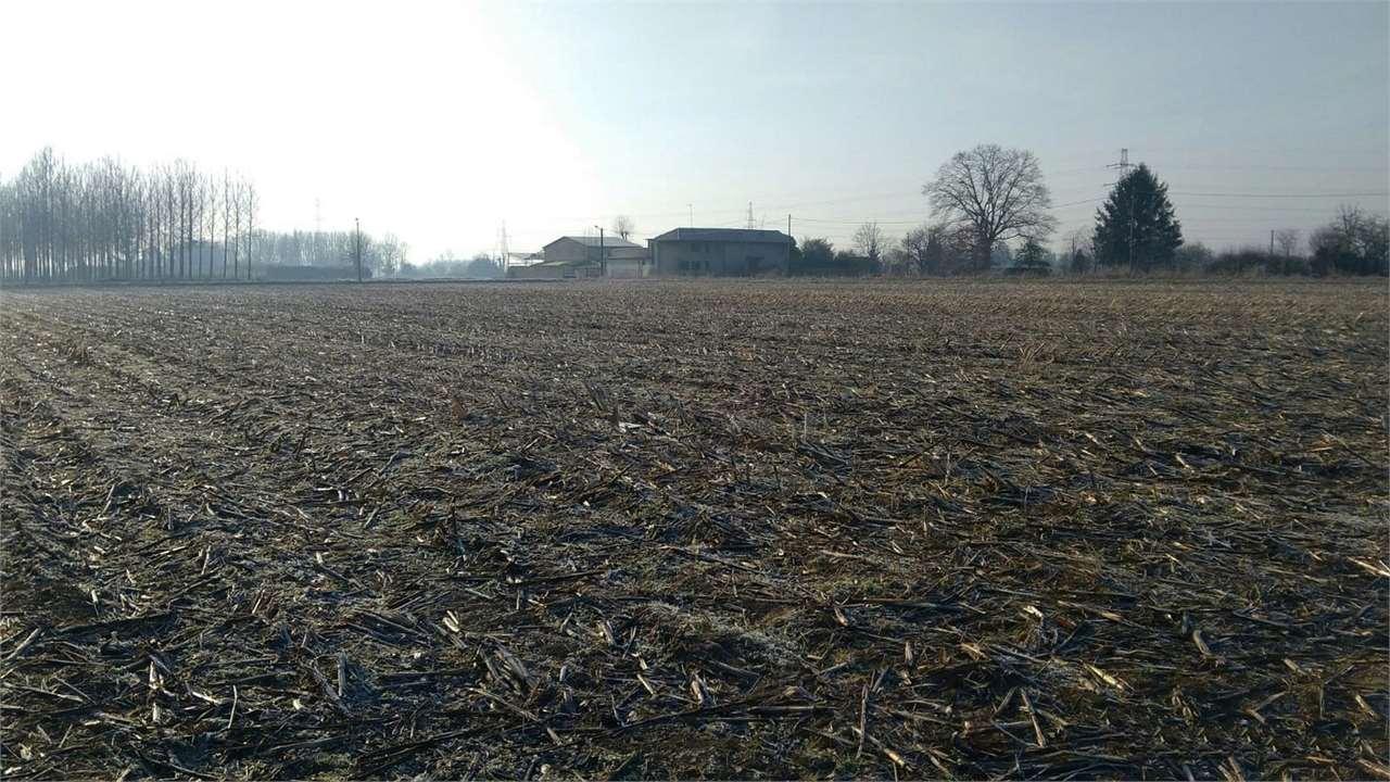 Vendita vendita, Cuggiono Vendita vendita, Cuggiono foto