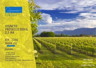 Vendita vendita, Maser Vendita vendita, Maser