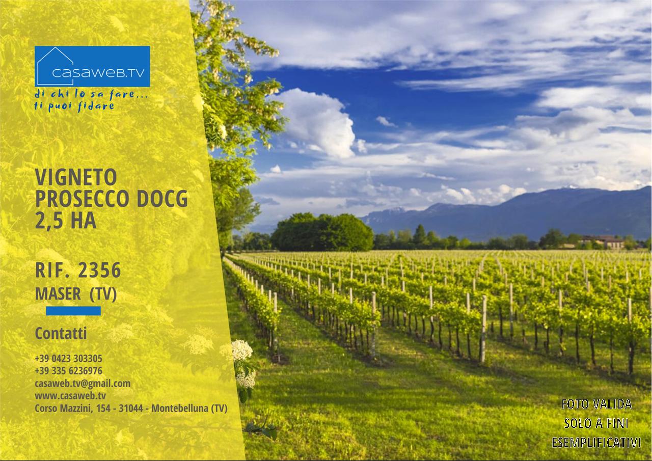 Vendita vendita, Maser foto