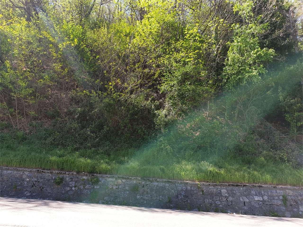 Vendita vendita, Tavernerio foto