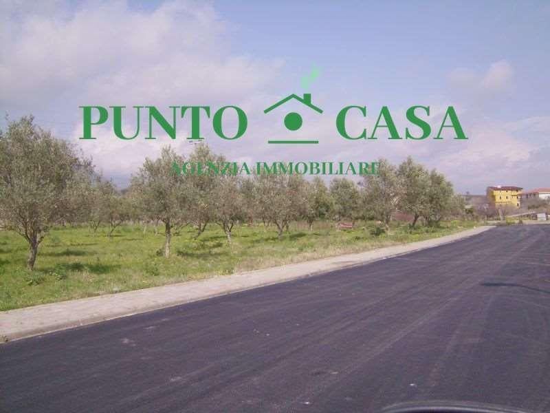 Vendita vendita, Gizzeria foto