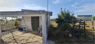 Vendita vendita, San Donaci