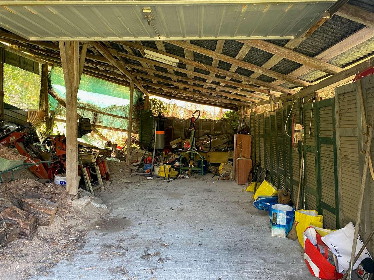 Vendita vendita, Faggeto Lario foto