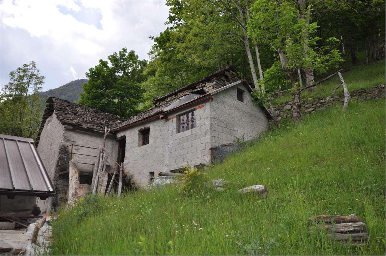 Vendita vendita, Montescheno foto