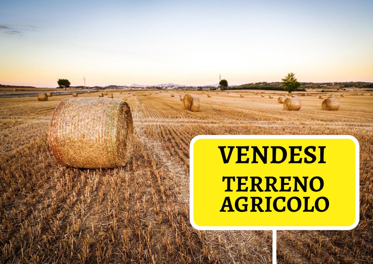Vendita vendita, Correzzana foto