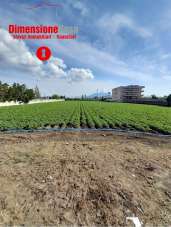 Vendita vendita, Nola