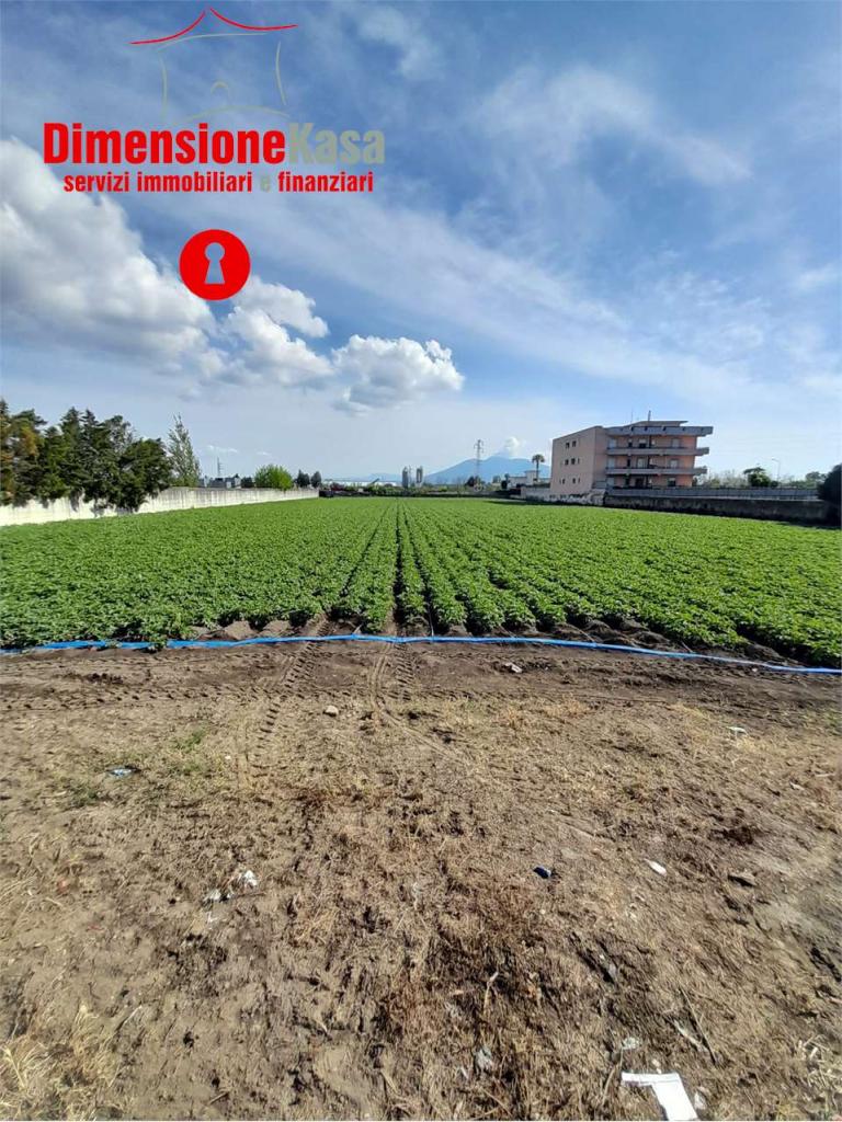 Vendita vendita, Nola foto