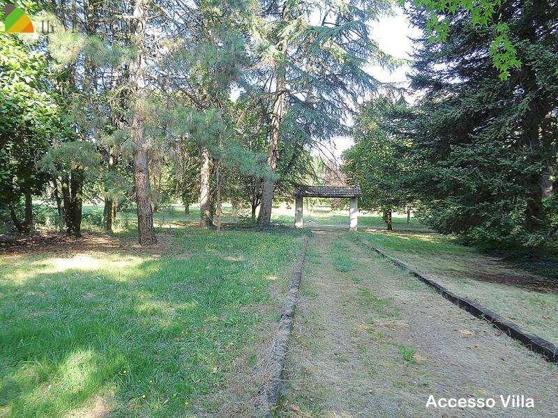 Vendita vendita, Scandiano foto