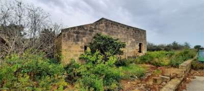 Vendita vendita, Marsala