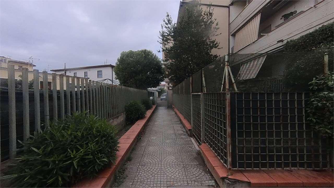 Vendita vendita, Latina foto