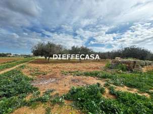 Vendita vendita, Marsala