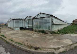 Vendita vendita, Albenga Vendita vendita, Albenga