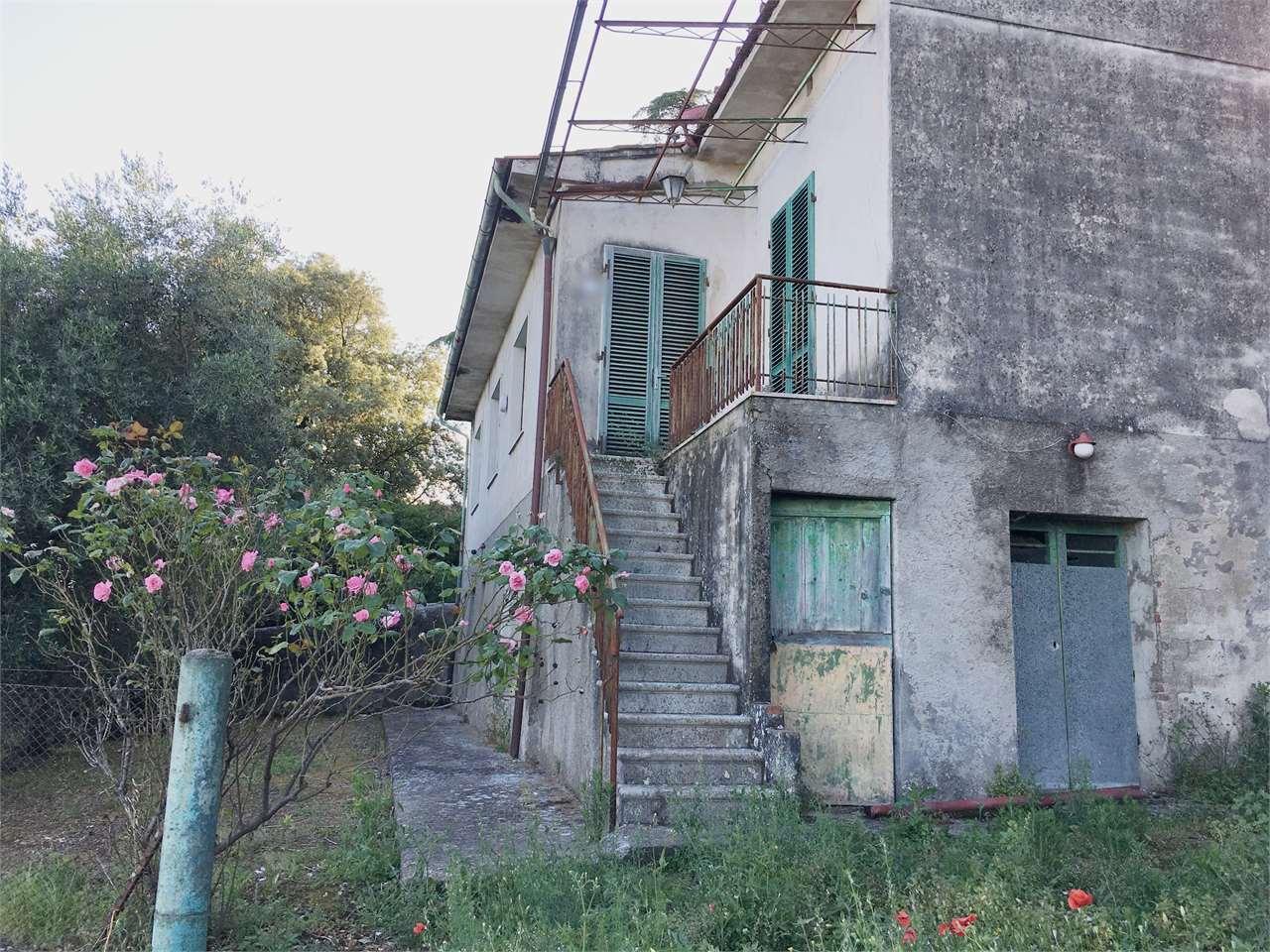 Vendita vendita, Capannori foto