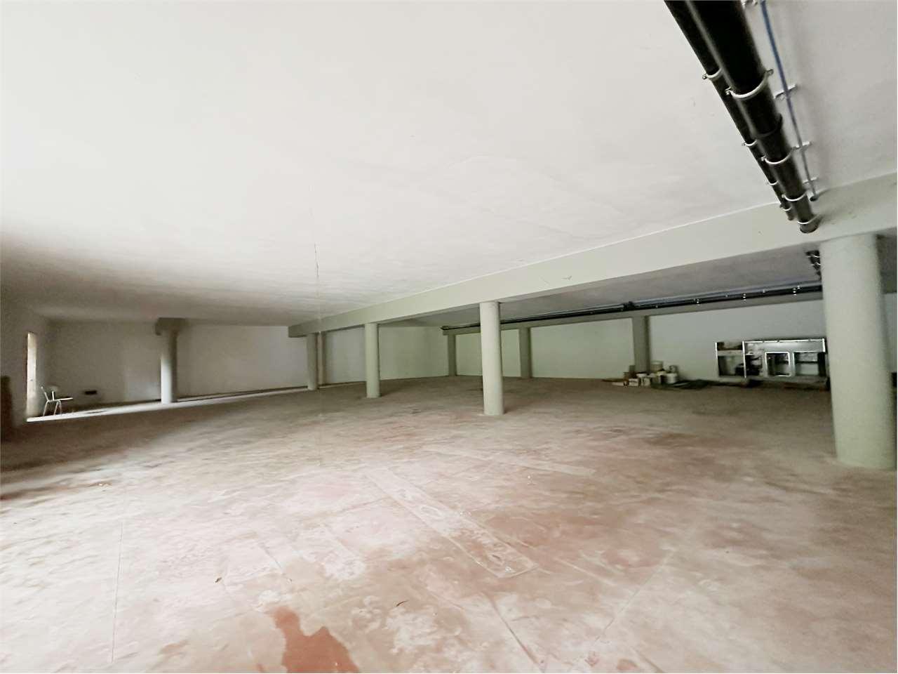 Affitto affitto, Capannori Affitto affitto, Capannori foto