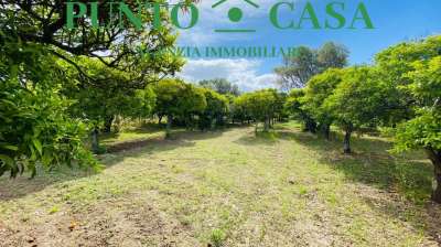 Vendita vendita, Lamezia Terme