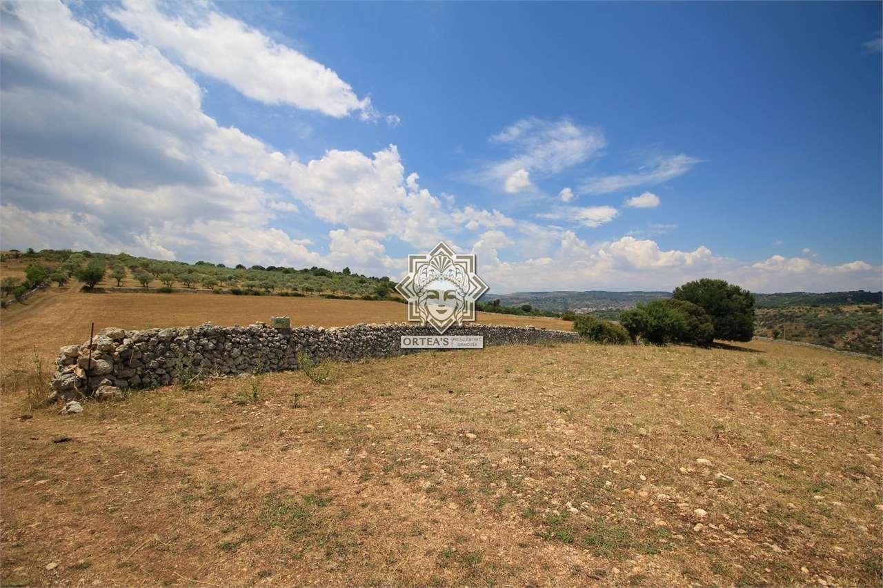 Vendita vendita, Cassaro foto