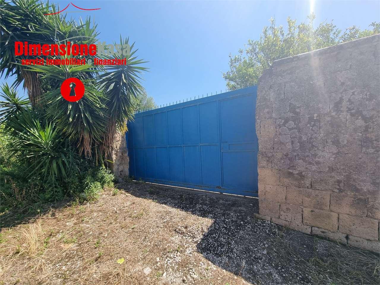 Vendita vendita, Camposano foto