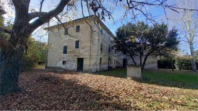 Vendita vendita, Argenta