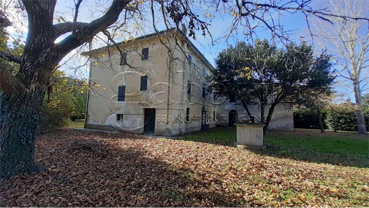 Vendita vendita, Argenta foto