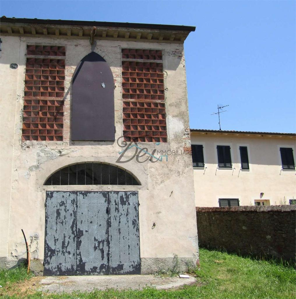 Vendita vendita, Lucca foto