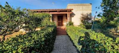 Affitto affitto, Marsala