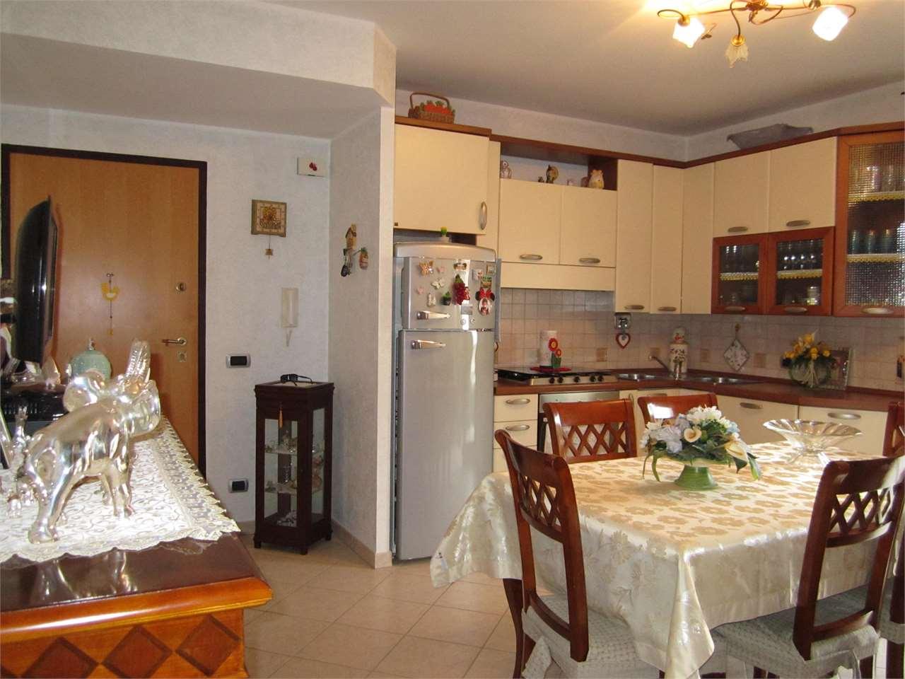 Vendita vendita, Belvedere Marittimo foto