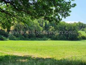 Vendita vendita, Savignano sul Panaro Vendita vendita, Savignano sul Panaro