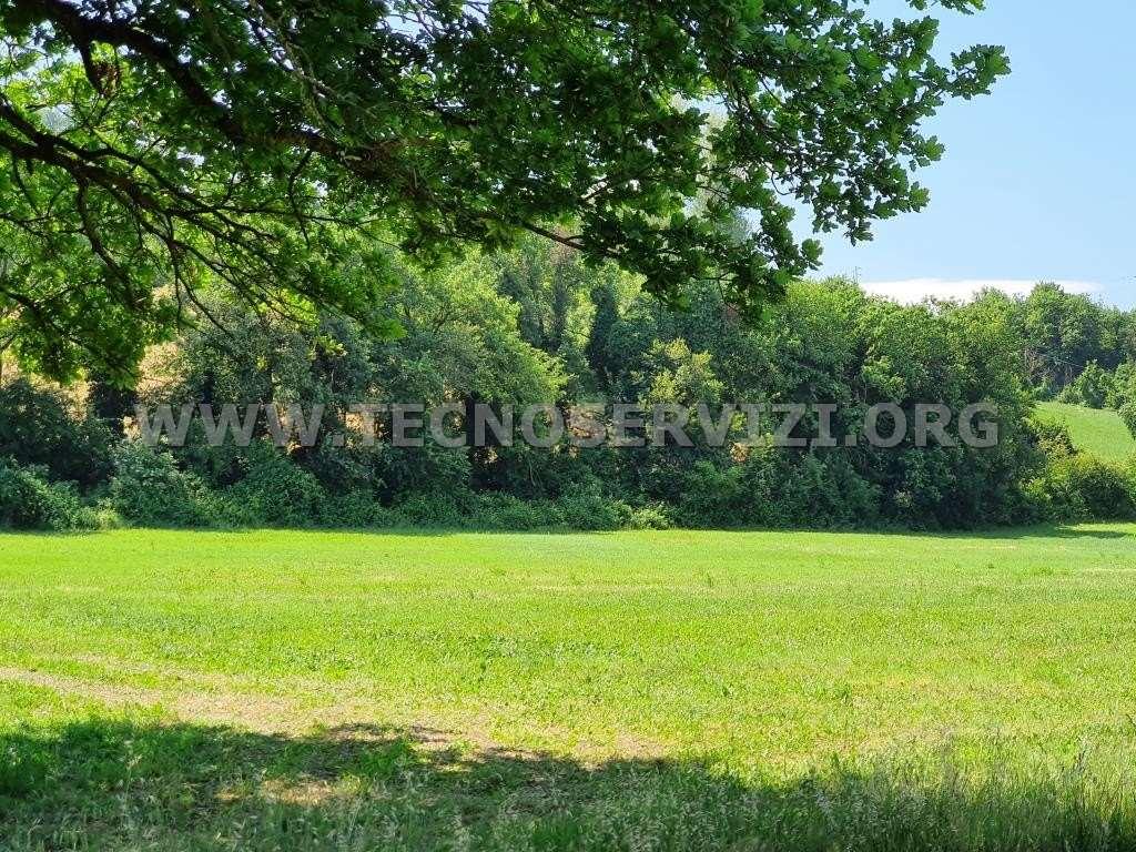 Vendita vendita, Savignano sul Panaro foto