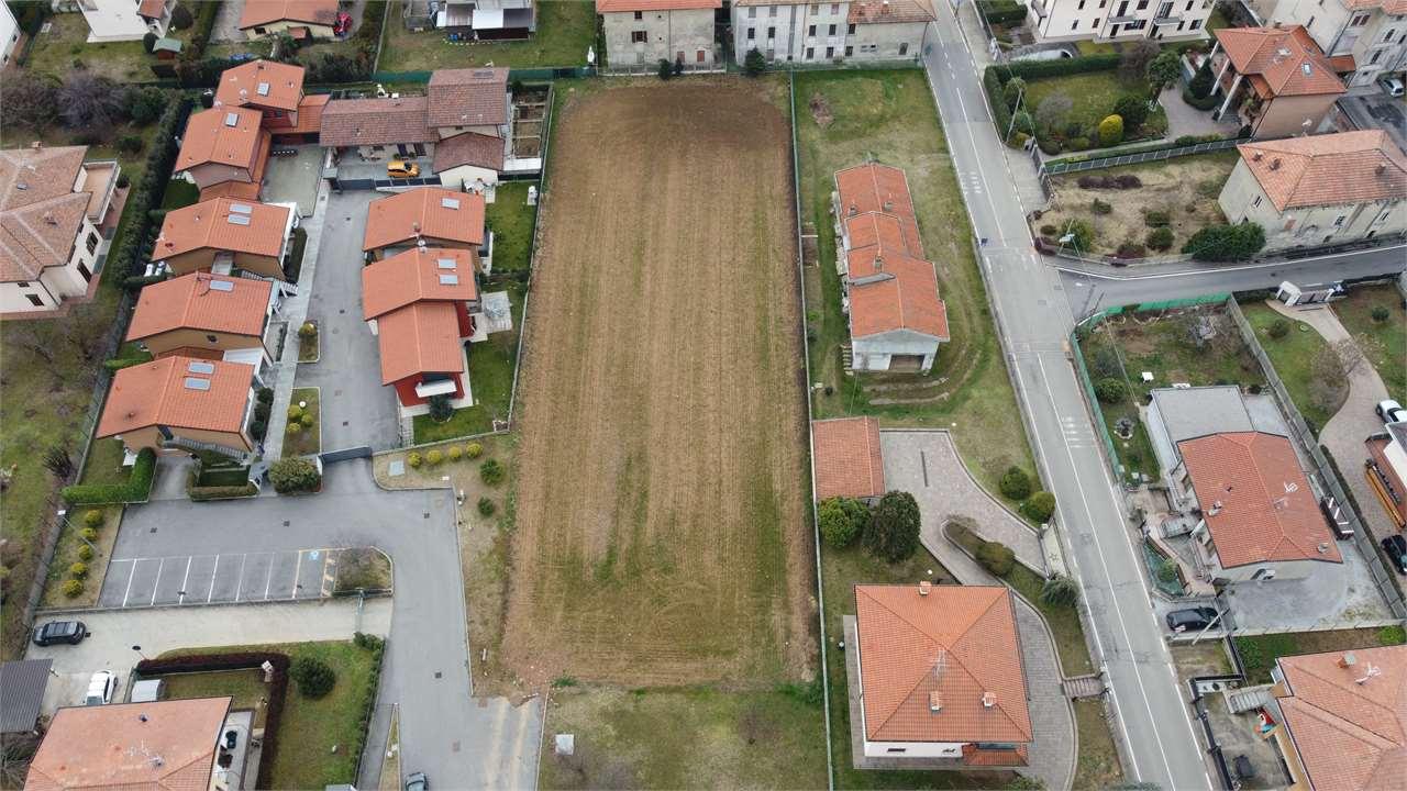 Vendita vendita, Fenegro foto