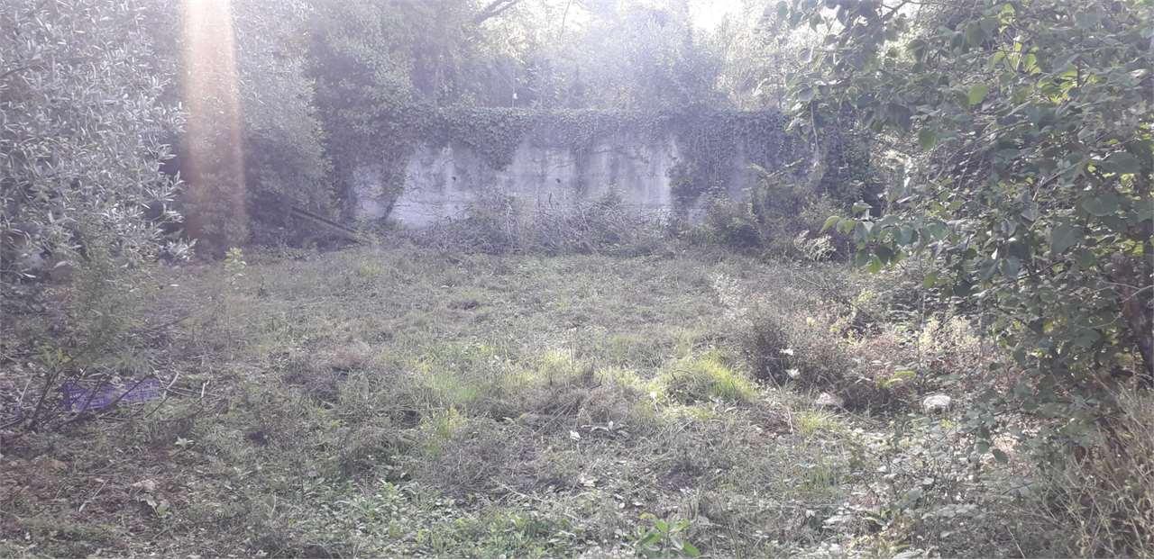 Vendita vendita, Albenga foto