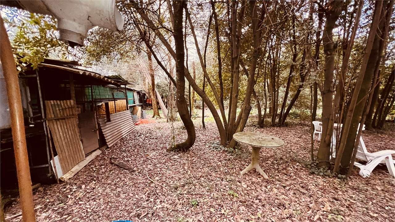 Vendita vendita, Capannori foto