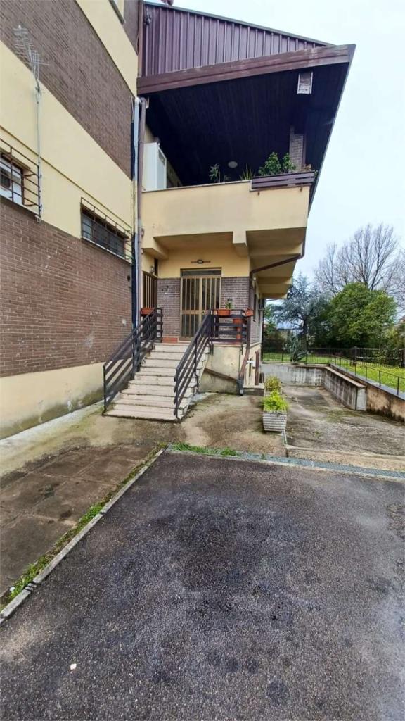 Affitto affitto, Frosinone foto