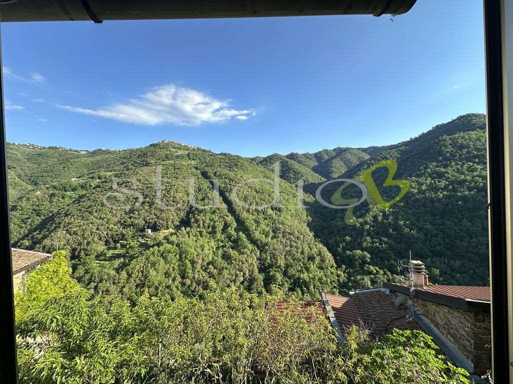 Vendita vendita, Apricale foto