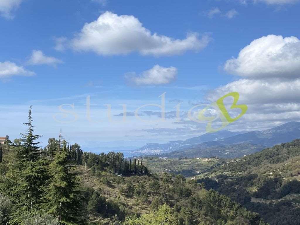 Vendita vendita, Seborga foto