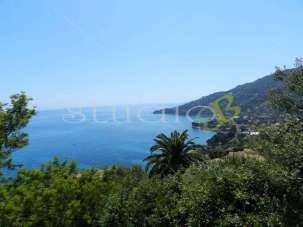 Vendita vendita, Ventimiglia