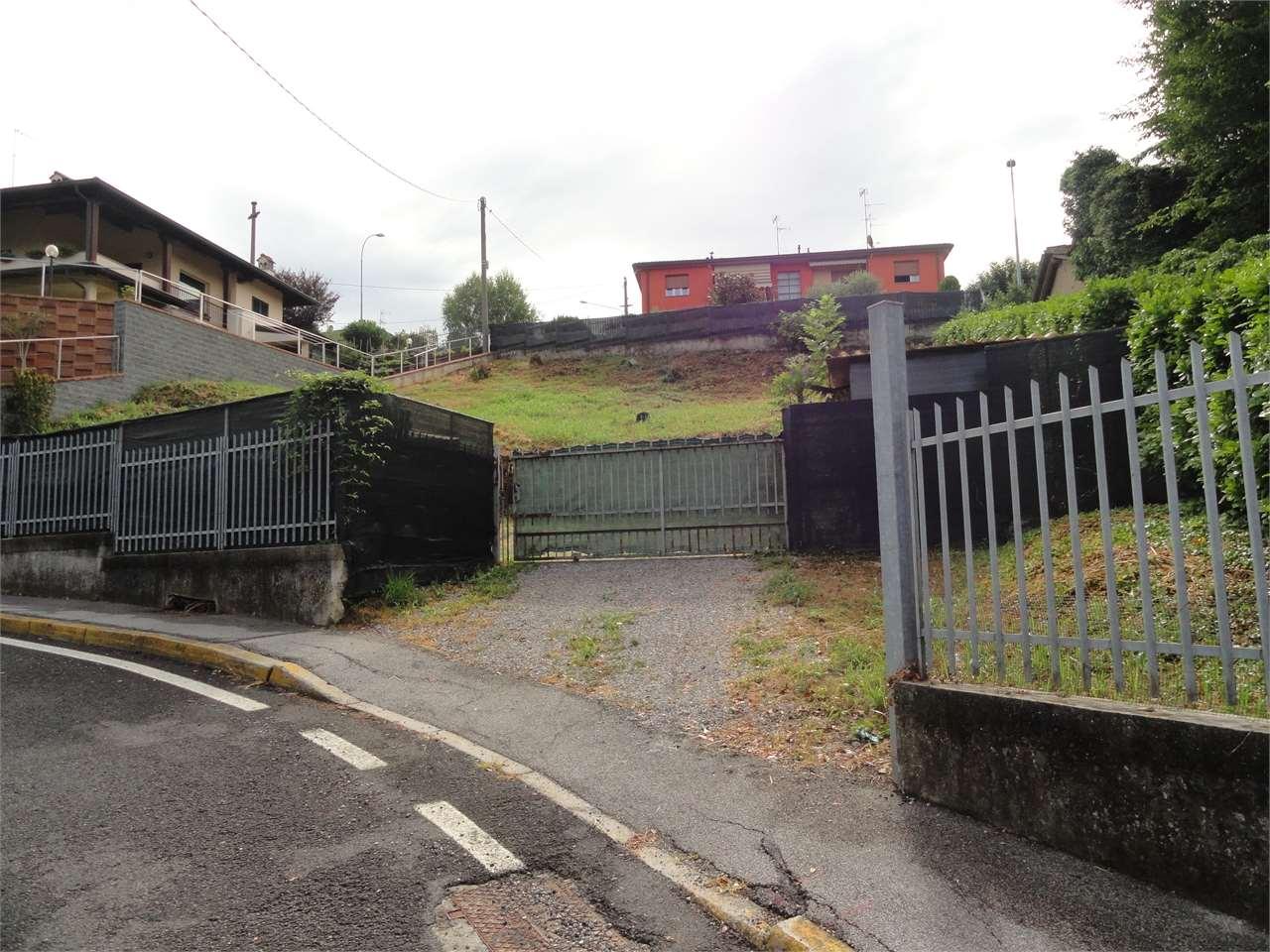 Vendita vendita, Merone foto