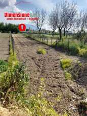 Verkauf vendita, Nola