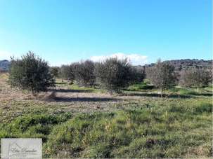 Vendita vendita, Capoliveri Vendita vendita, Capoliveri