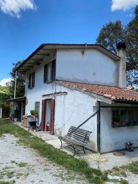 Vendita vendita, Bertinoro foto