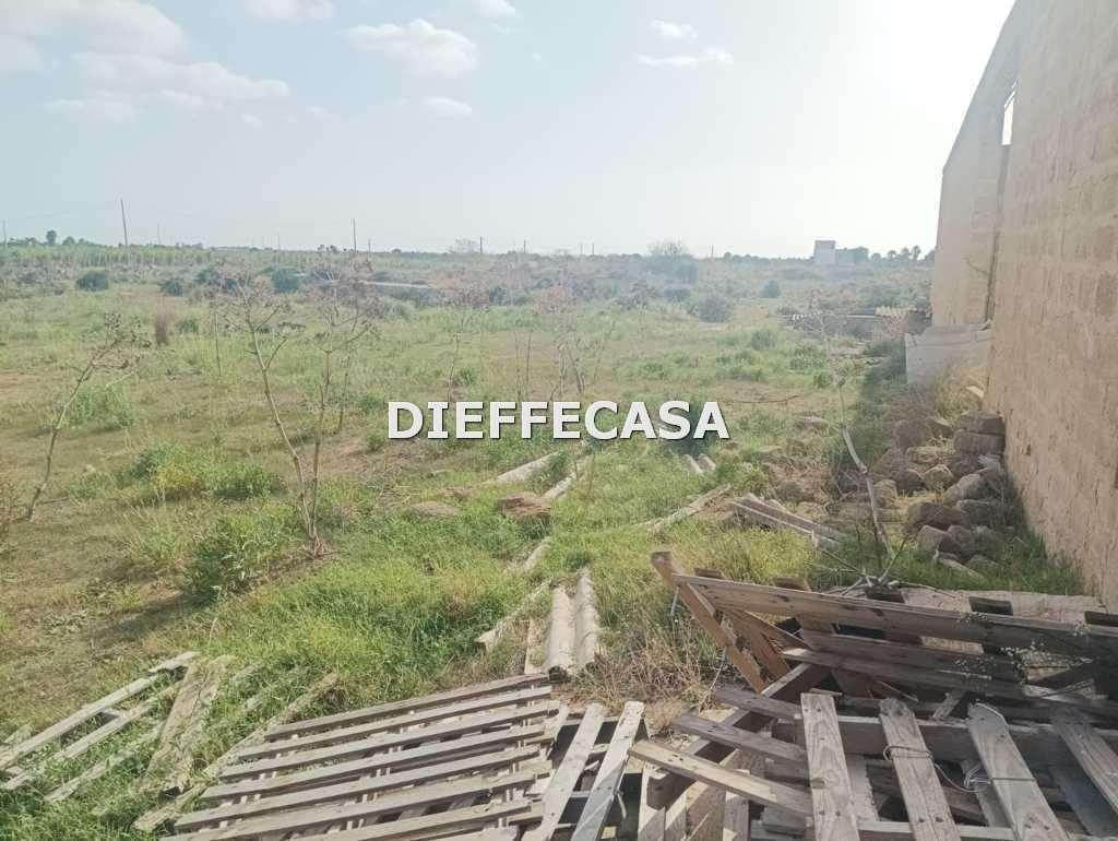 Vendita vendita, Marsala foto
