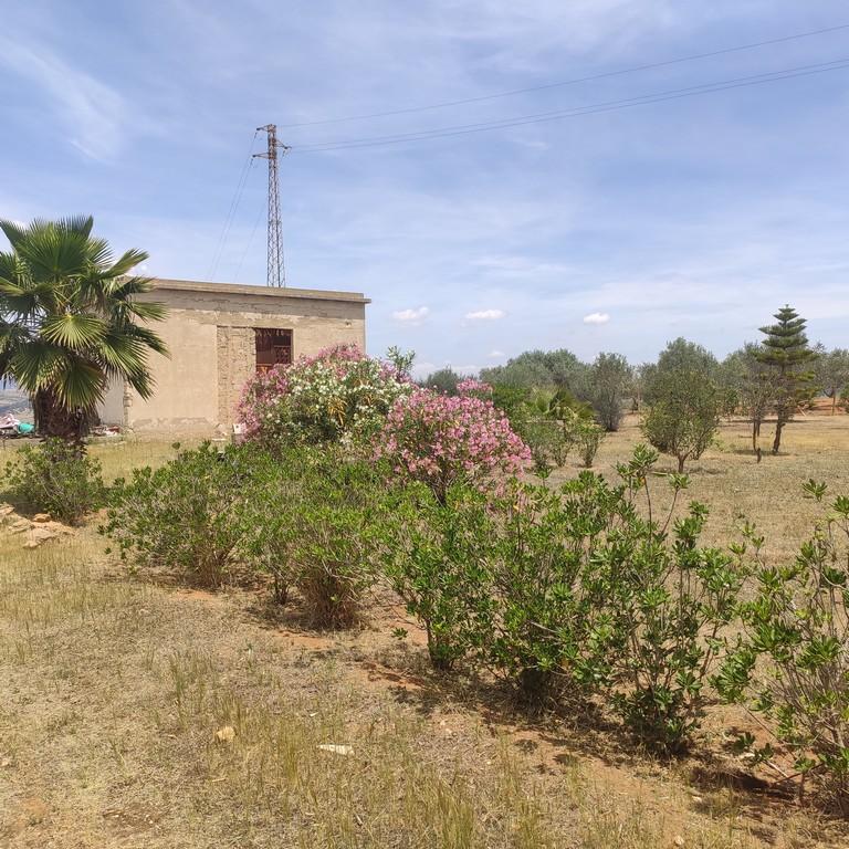 Vendita Case, Caltagirone foto