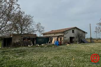 Vendita Quadrivani, Cesena