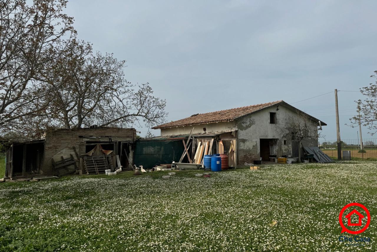 Vendita Quadrivani, Cesena foto