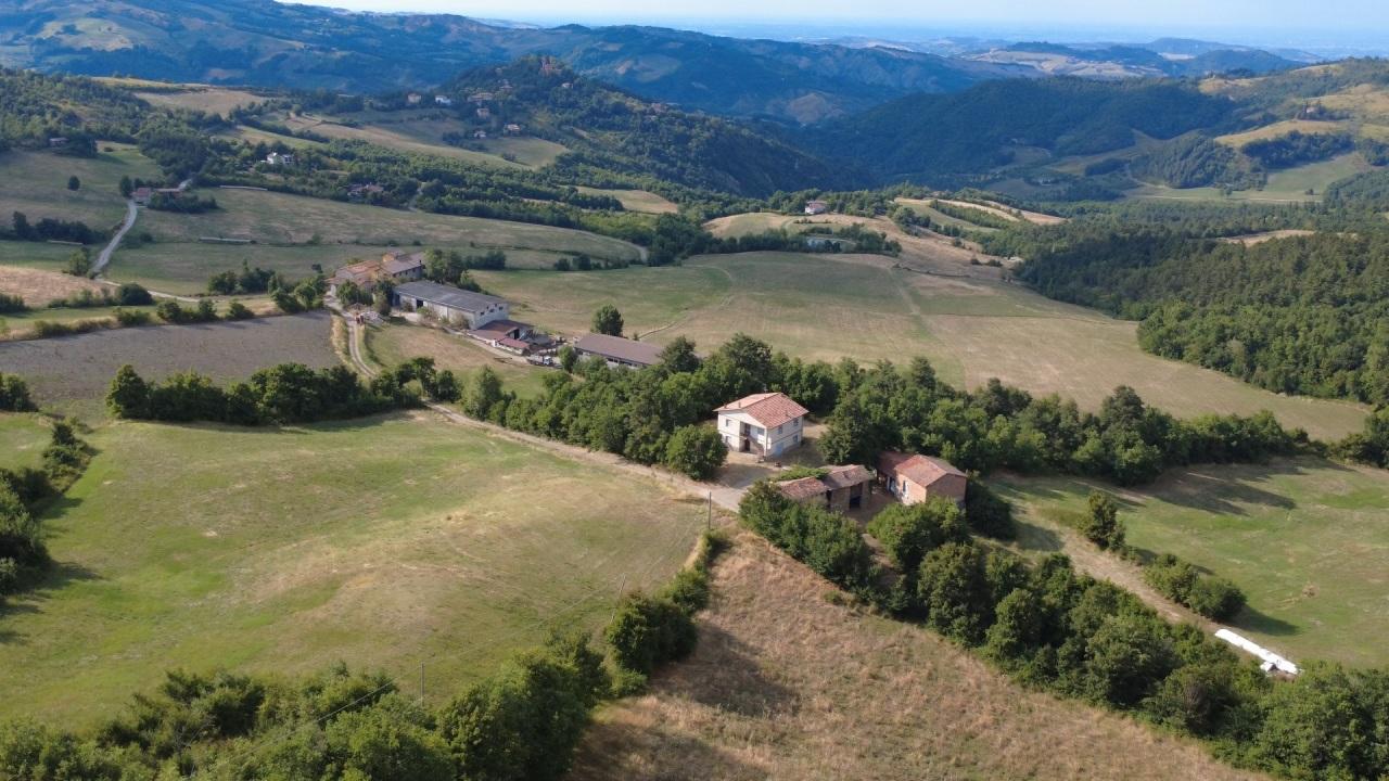 Vendita Multivani, Zocca foto