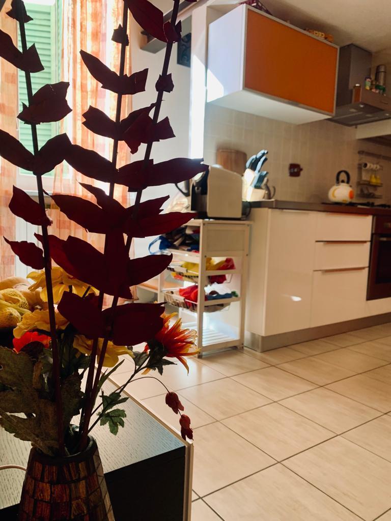 Affitto Bivani, Livorno foto