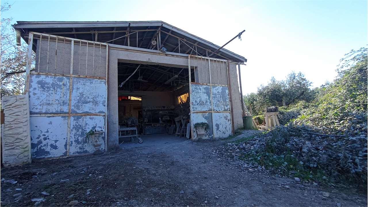 Vendita vendita, Roma foto