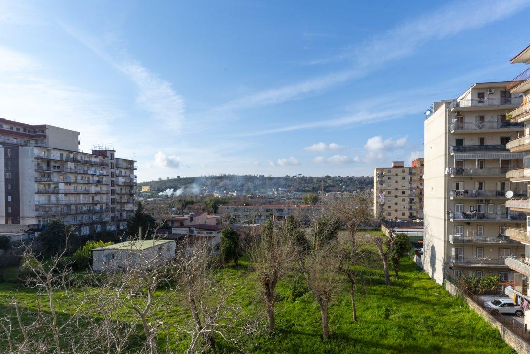 Vendita Trivani, Napoli foto